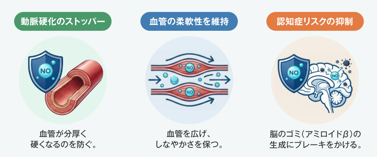 血管のセキュリティ